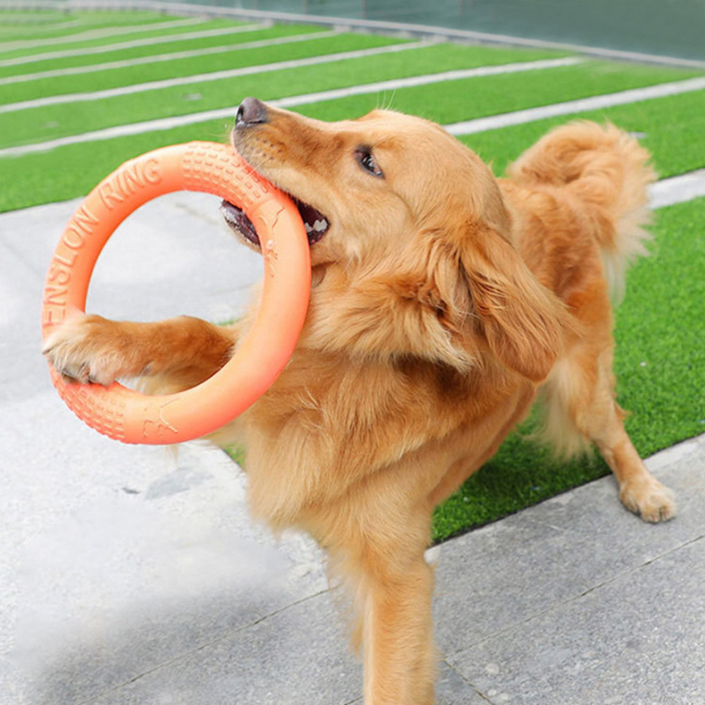 Snuffle Mat For Dogs - Laranja voando disco formação anel extrator,