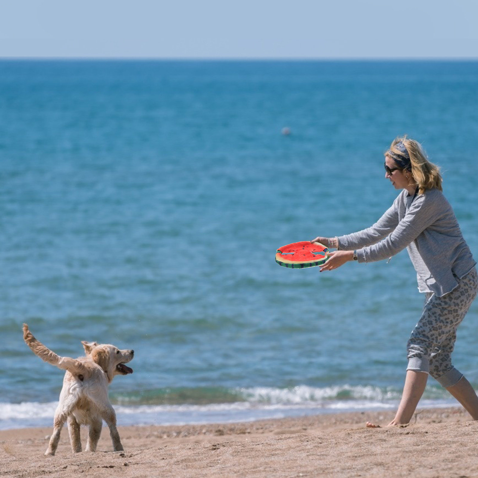 Flying Disc Dog Training Toy - Disco voador para cães, com design