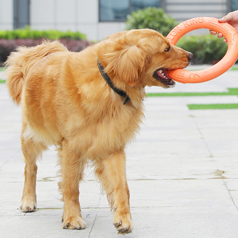 Laranja voando disco formação  - Snuffle Mat For Dogs avaliação e preço