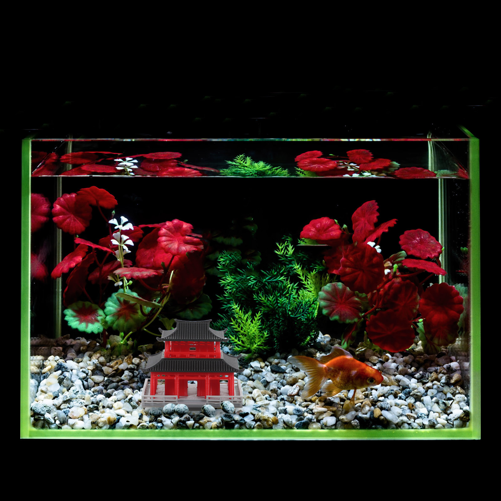 Pavilhão Chinês Antigo Preto e - Aquarium avaliação e preço