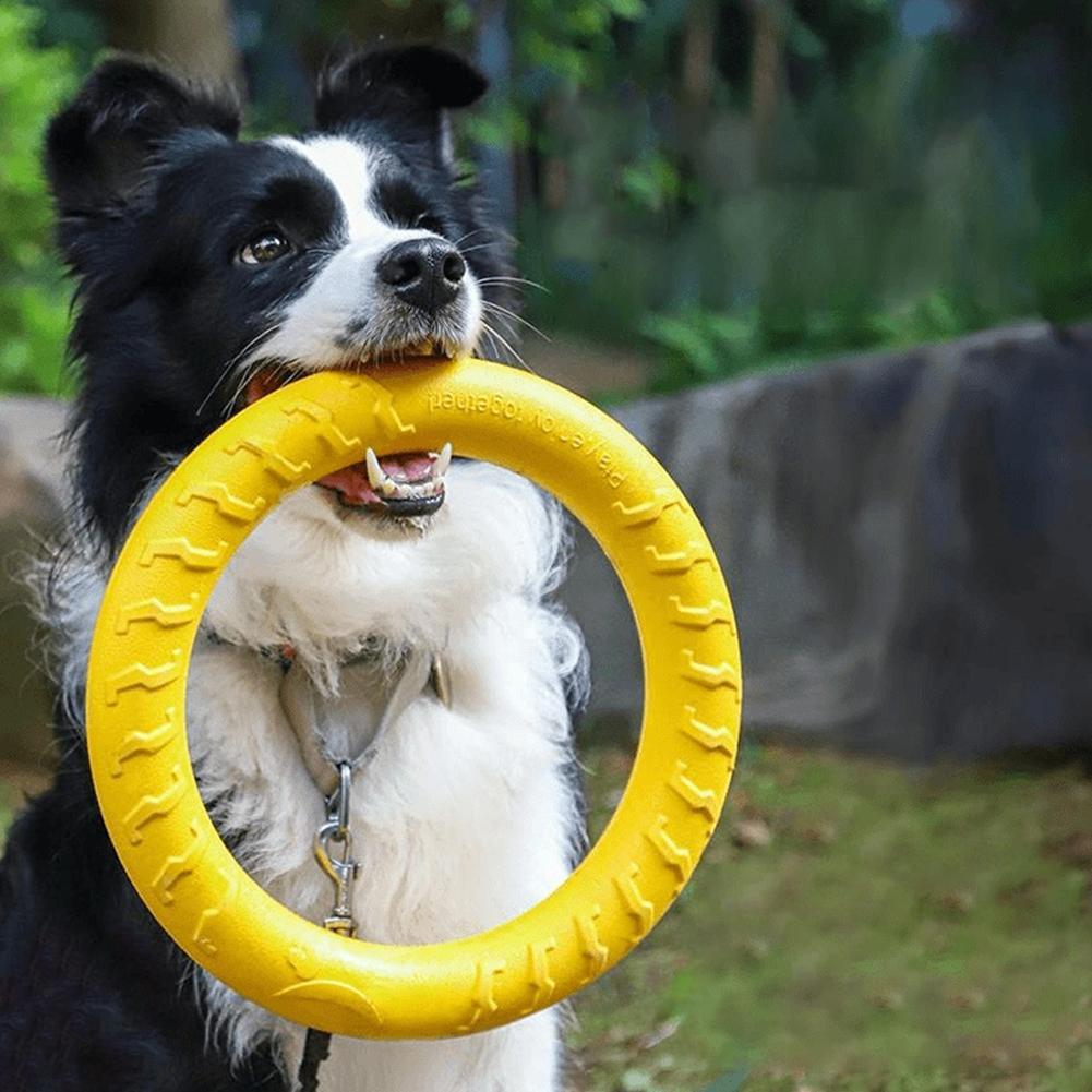 Brinquedos de Argola para Cães - Indestructible Dog Chew Toy avaliação e preço